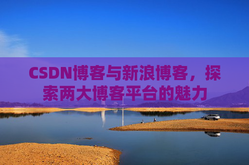CSDN博客与新浪博客,探索两大博客平台的魅力